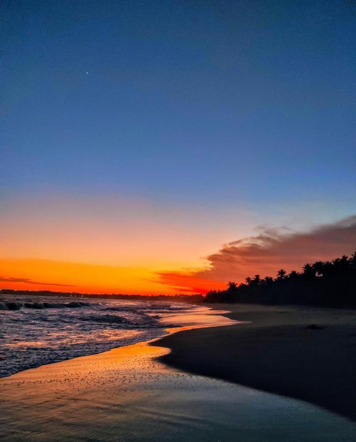 Sleeping Elephant Beach Resort Tangalle Exteriör bild