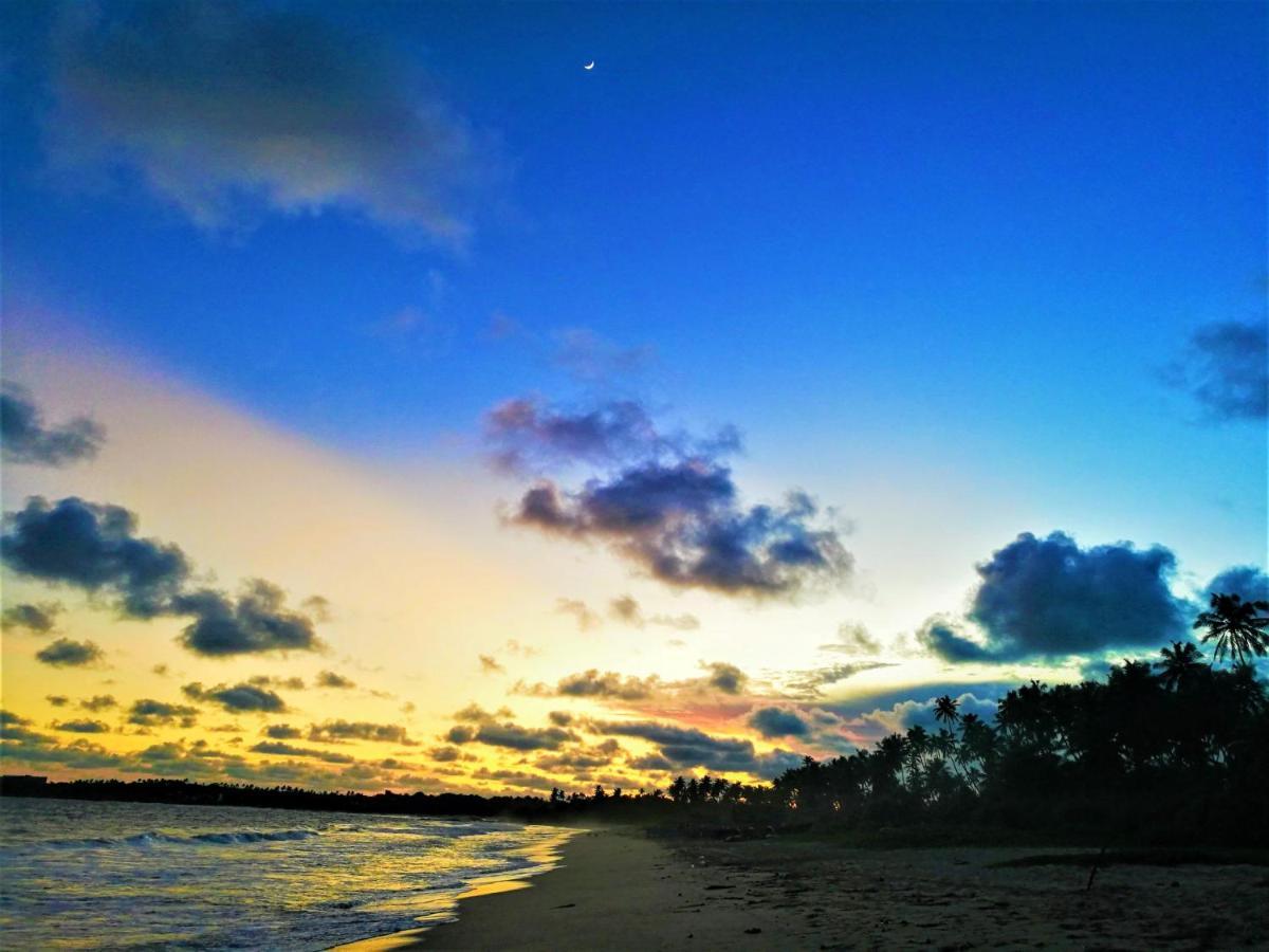 Sleeping Elephant Beach Resort Tangalle Exteriör bild